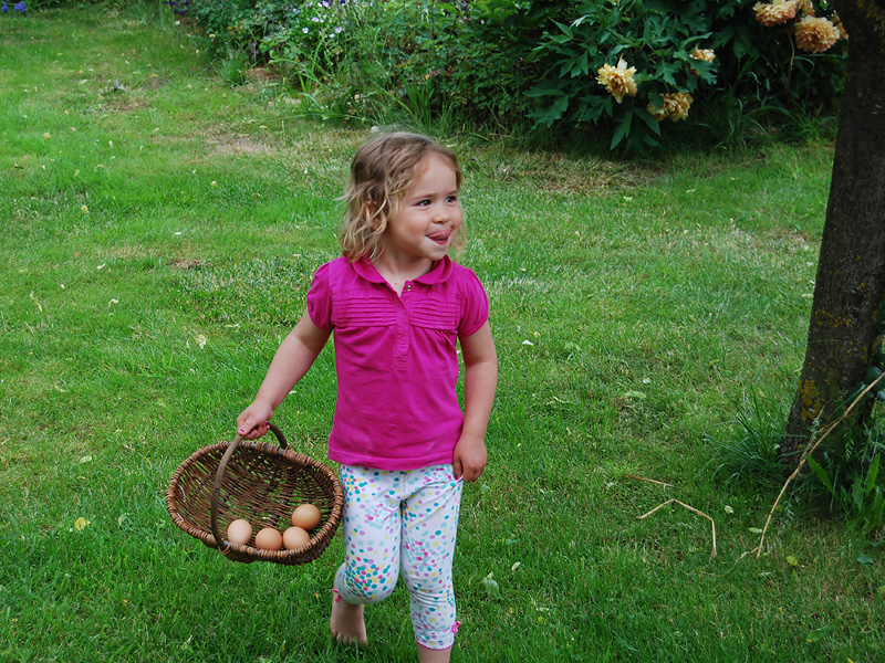 Ei-Transport zum Frühstück