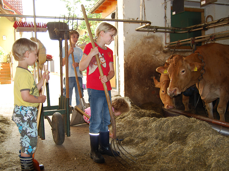 Ausmisten des Stalles