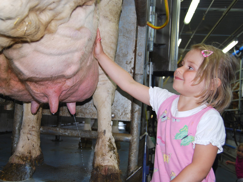 Du hast aber einen großen Euter!