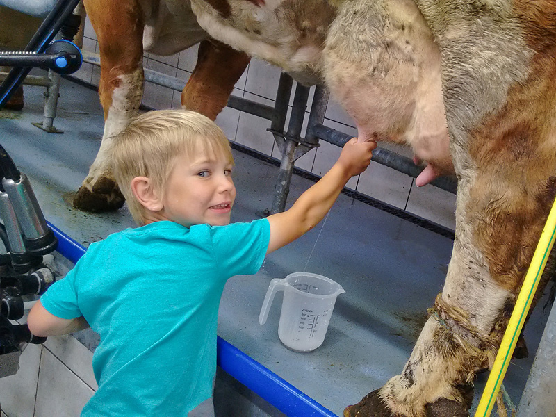 Schau mal, so geht das!