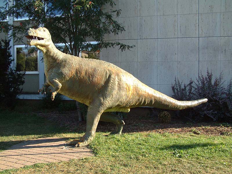 Bürgermeister-Müller-Museum in Solnhofen