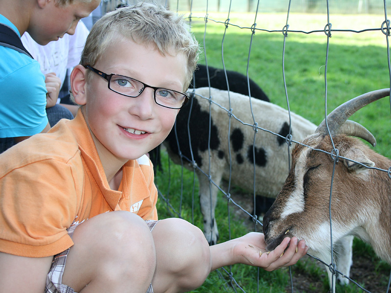 Wildpark an der Sommerrodelbahn