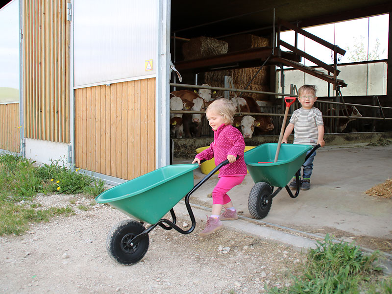 Helfen im Stall Helfen im Stall