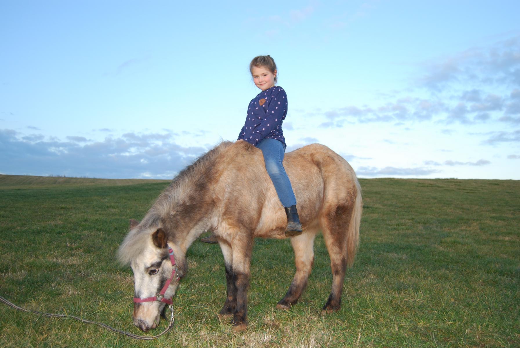 Auch Hühner kann man streicheln!